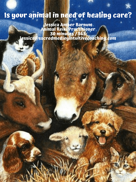 Animal Reiki